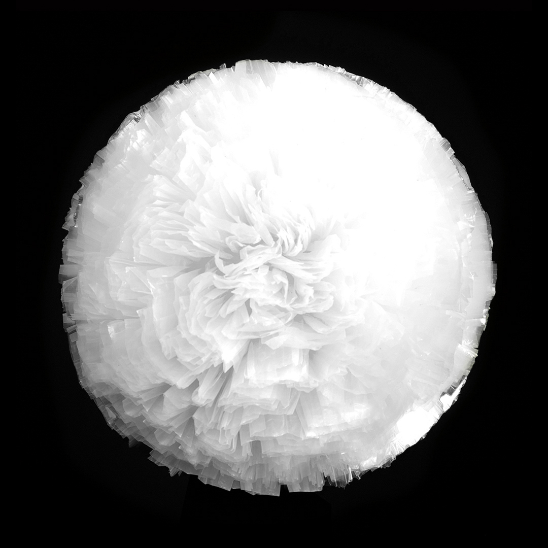 White (21)